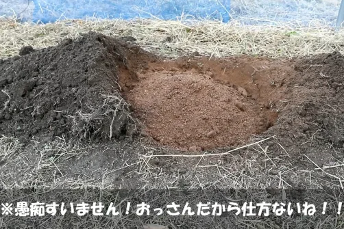 動画付 実際にブルーベリーを植えてみよう 露地植え編 前編 せらす果樹園